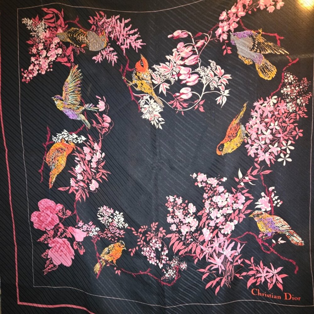 EUC Authentic Christian Dior Scarf